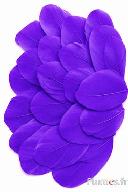 Petali in piume - 6-8 x 3-4 cm - viola